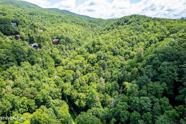 Butler Branch Rd, Gatlinburg, TN 37738 - photo 20