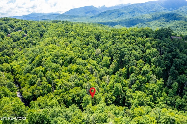 Butler Branch Rd, Gatlinburg, TN 37738 - photo 21