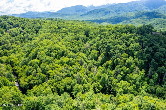 Butler Branch Rd, Gatlinburg, TN 37738 - photo 22