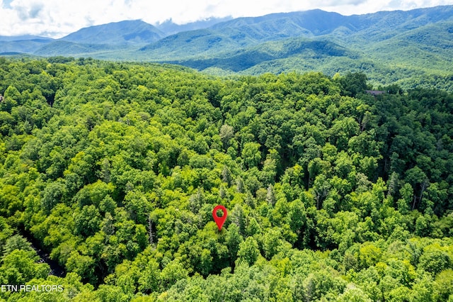 Butler Branch Rd, Gatlinburg, TN 37738 - photo 23