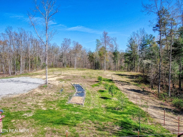 2025 Allardt Tinch Rd, Jamestown, TN 38556 - view of yard featuring a forest view