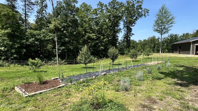 2025 Allardt Tinch Rd, Jamestown, TN 38556 - photo 57