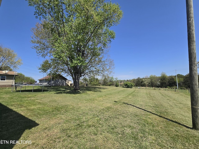 view of yard featuring a trampoline