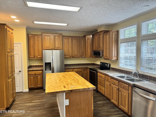 337 Costner Rd, Cosby, TN 37722 - kitchen featuring a sink, butcher block countertops, appliances with stainless steel finishes, and ornamental molding