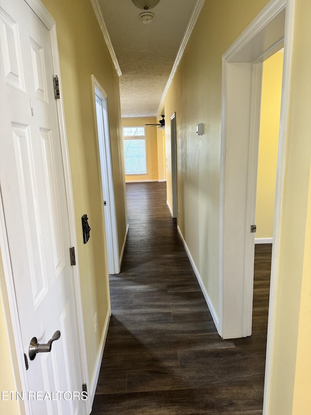 337 Costner Rd, Cosby, TN 37722 - hallway with dark wood-style floors, baseboards, and ornamental molding