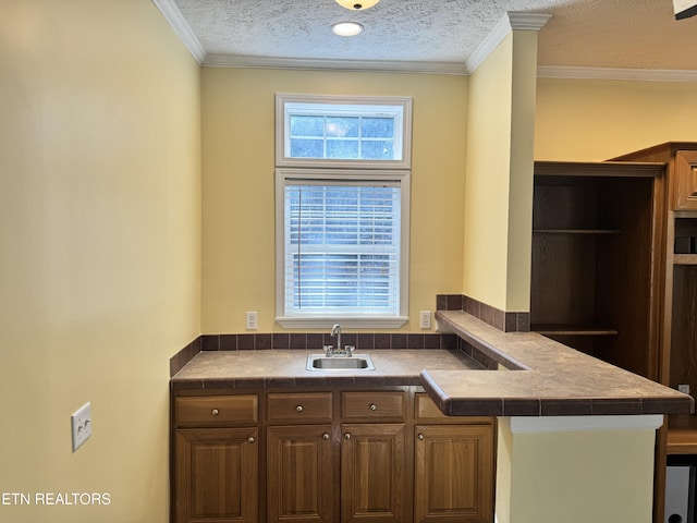 337 Costner Rd, Cosby, TN 37722 - kitchen with a peninsula, a textured ceiling, a sink, and ornamental molding