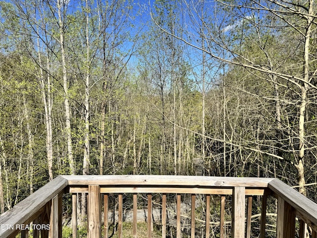 337 Costner Rd, Cosby, TN 37722 - view of deck