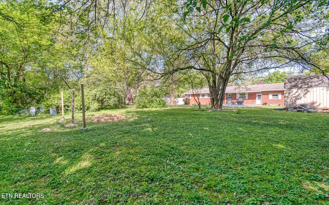 view of yard
