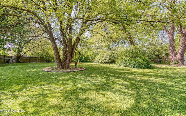 view of yard with fence