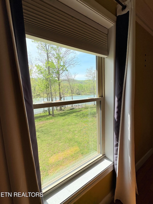 details featuring baseboards and a water view