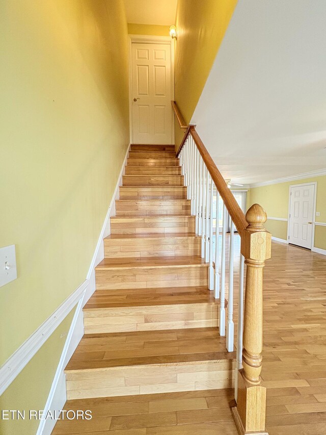 stairs featuring baseboards and wood-type flooring