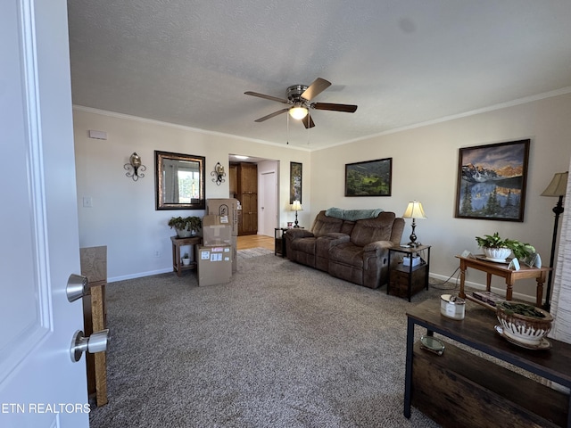 155 Oak Tree Ln, Sneedville, TN 37869 - carpeted living room featuring a textured ceiling, a ceiling fan, baseboards, and ornamental molding