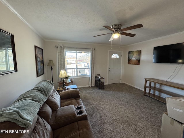 155 Oak Tree Ln, Sneedville, TN 37869 - carpeted living room featuring baseboards, a textured ceiling, ceiling fan, and crown molding