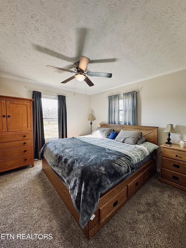 155 Oak Tree Ln, Sneedville, TN 37869 - bedroom featuring crown molding, a textured ceiling, and carpet flooring