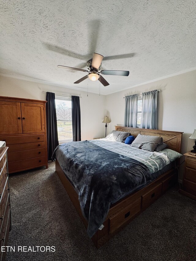 155 Oak Tree Ln, Sneedville, TN 37869 - carpeted bedroom with a textured ceiling, ceiling fan, and crown molding