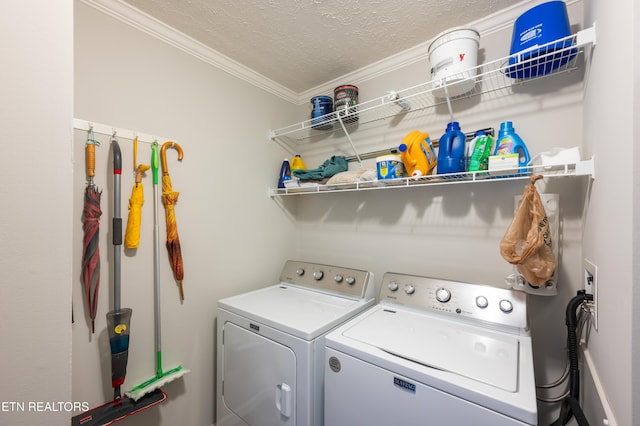 648 Old Douglas Dam Rd, Sevierville, TN 37876 - laundry room with laundry area, independent washer and dryer, ornamental molding, and a textured ceiling