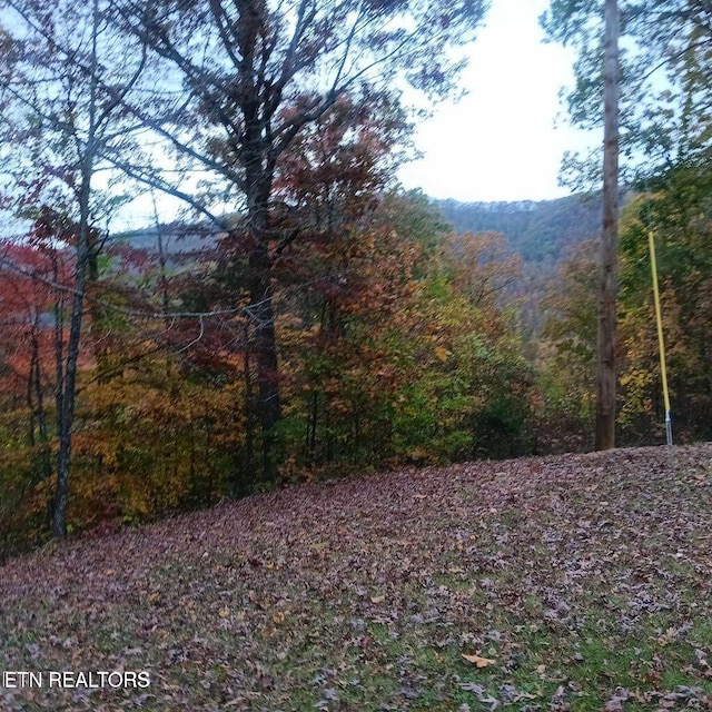 430 Buell Ln, Speedwell, TN 37870 - exterior space with a forest view