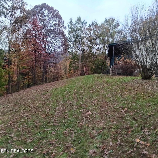 430 Buell Ln, Speedwell, TN 37870 - view of yard