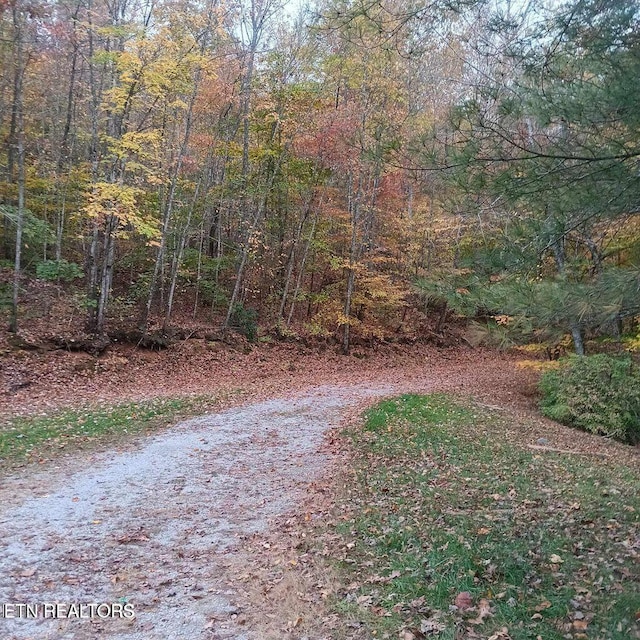 430 Buell Ln, Speedwell, TN 37870 - view of road with a view of trees