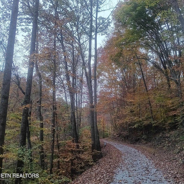 430 Buell Ln, Speedwell, TN 37870 - view of road featuring a forest view