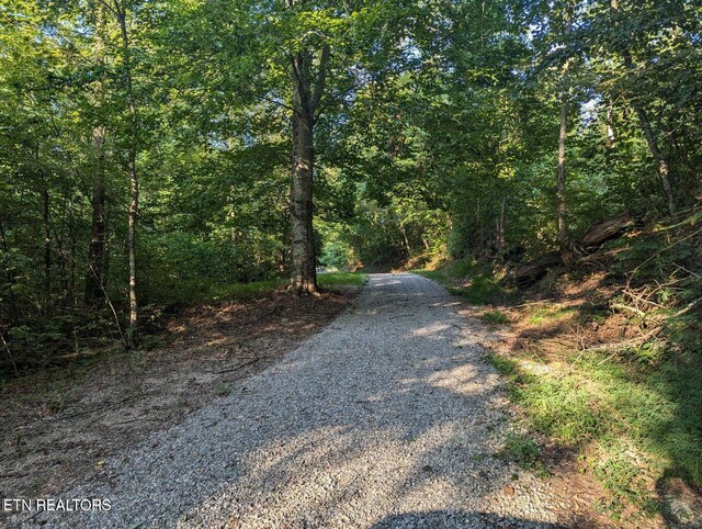 430 Buell Ln, Speedwell, TN 37870 - view of street featuring a wooded view