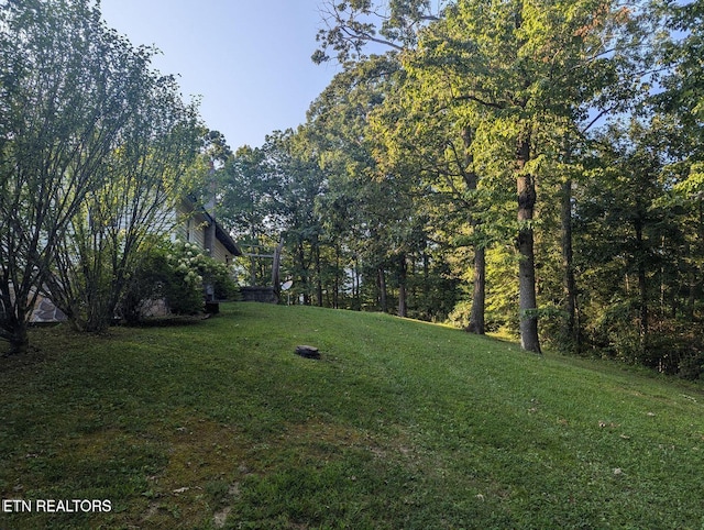 430 Buell Ln, Speedwell, TN 37870 - view of yard