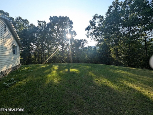 430 Buell Ln, Speedwell, TN 37870 - view of yard