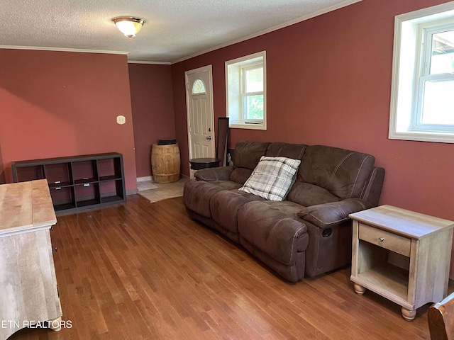 430 Buell Ln, Speedwell, TN 37870 - living room featuring wood finished floors, a textured ceiling, and crown molding