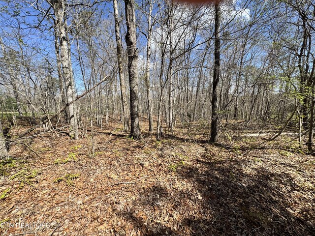 Smith Hall Rd, Jamestown, TN 38556