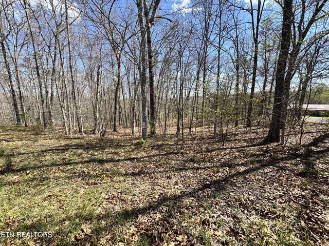Smith Hall Rd, Jamestown, TN 38556
