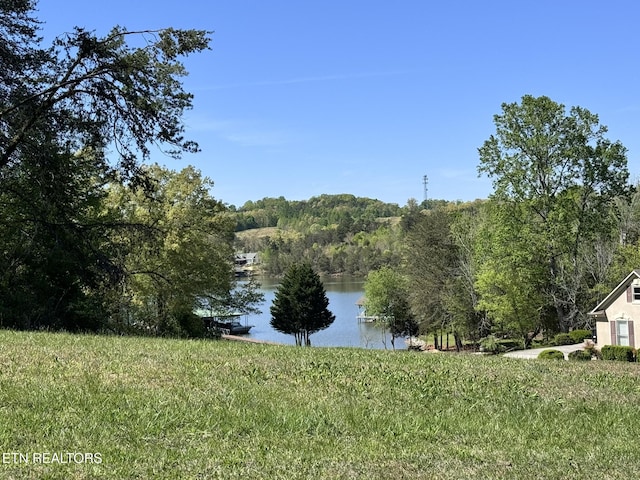 232 Eagle Cir, Vonore, TN 37885