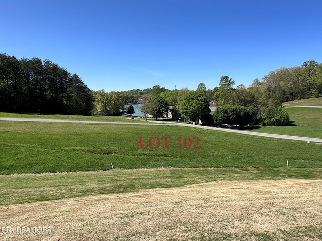 232 Eagle Cir, Vonore, TN 37885