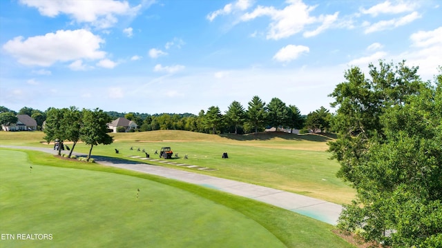 204 Kingbird Dr, Vonore, TN 37885 - photo 47