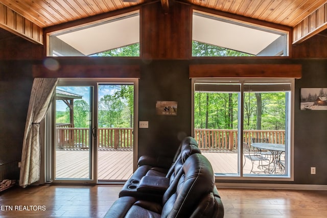 living room with wood-type flooring, a wealth of natural light, and lofted ceiling