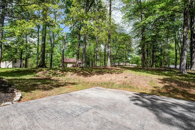 view of yard with a patio area