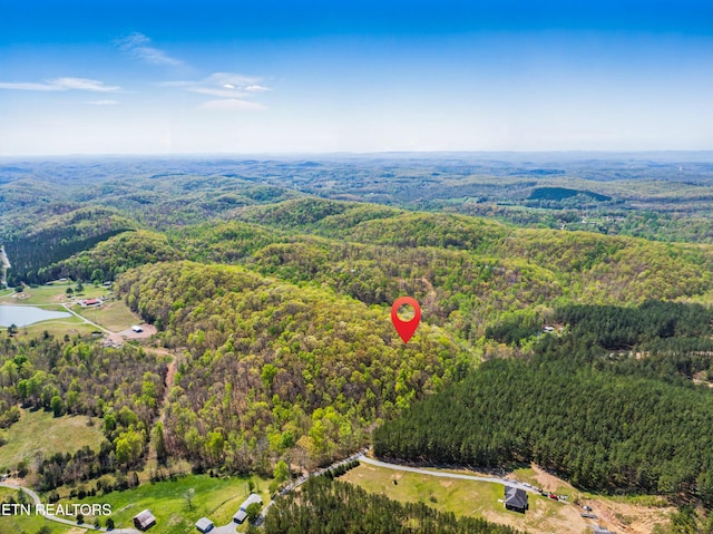 376 County Road 184, Athens, TN 37303 - photo 3