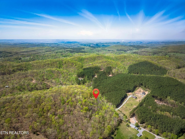 376 County Road 184, Athens, TN 37303 - photo 7