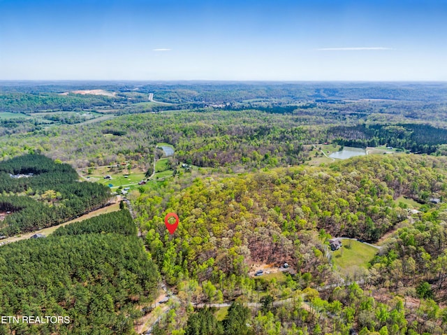 376 County Road 184, Athens, TN 37303 - photo 8