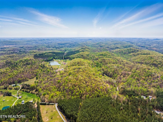 376 County Road 184, Athens, TN 37303 - photo 9