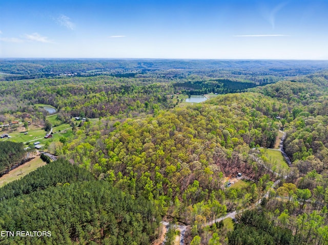 376 County Road 184, Athens, TN 37303 - photo 12