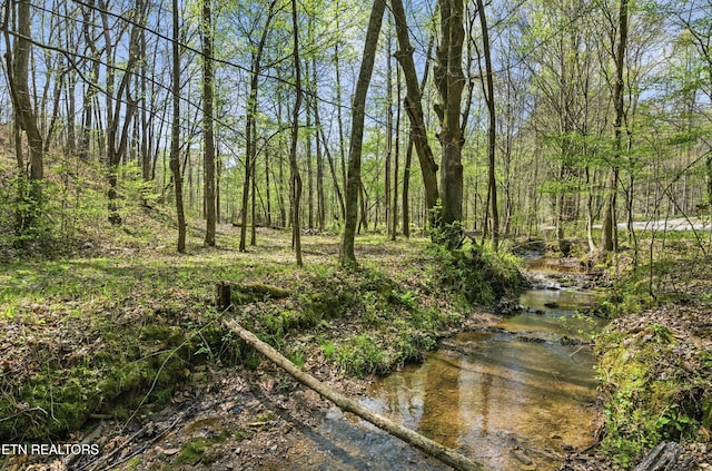 376 County Road 184, Athens, TN 37303 - photo 5