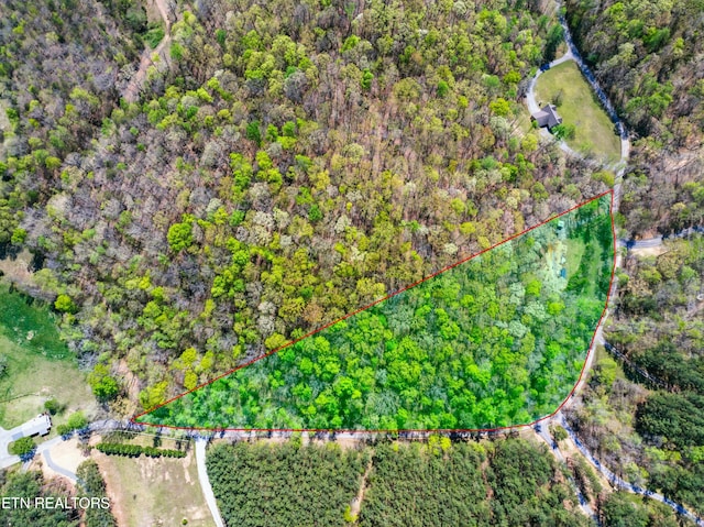 376 County Road 184, Athens, TN 37303 - photo 14