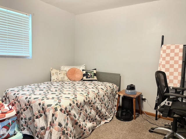 bedroom with carpet