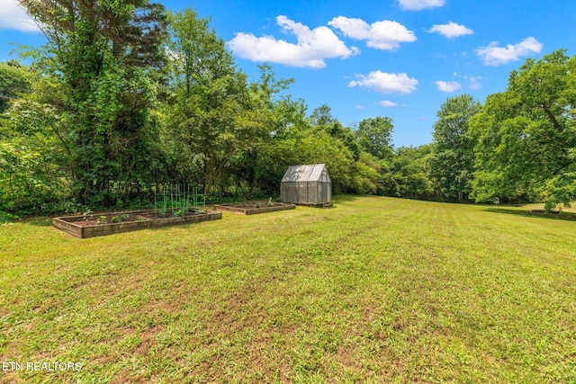12903 Georgetown Village Ln, Georgetown, TN 37336 - view of green lawn with a vegetable garden and a view of trees