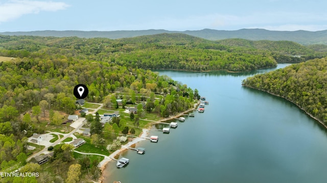 bird's eye view with a view of trees and a water and mountain view