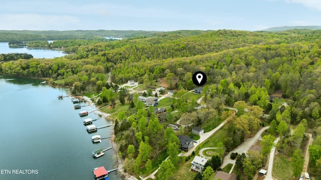 bird's eye view with a view of trees and a water view