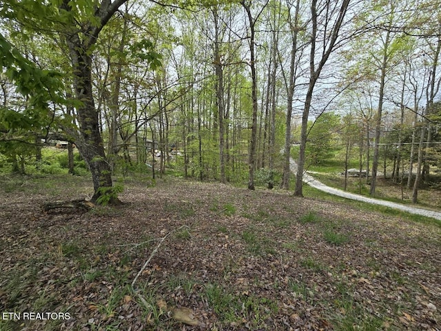 view of nature with a view of trees