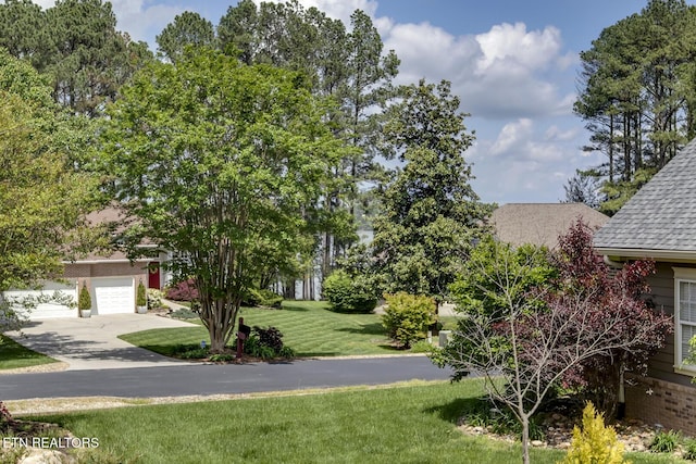 100 Coyatee Cir, Loudon, TN 37774 - view of yard with driveway