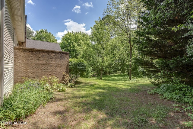 100 Coyatee Cir, Loudon, TN 37774 - view of yard