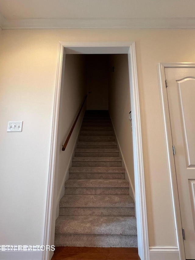 staircase with wood finished floors